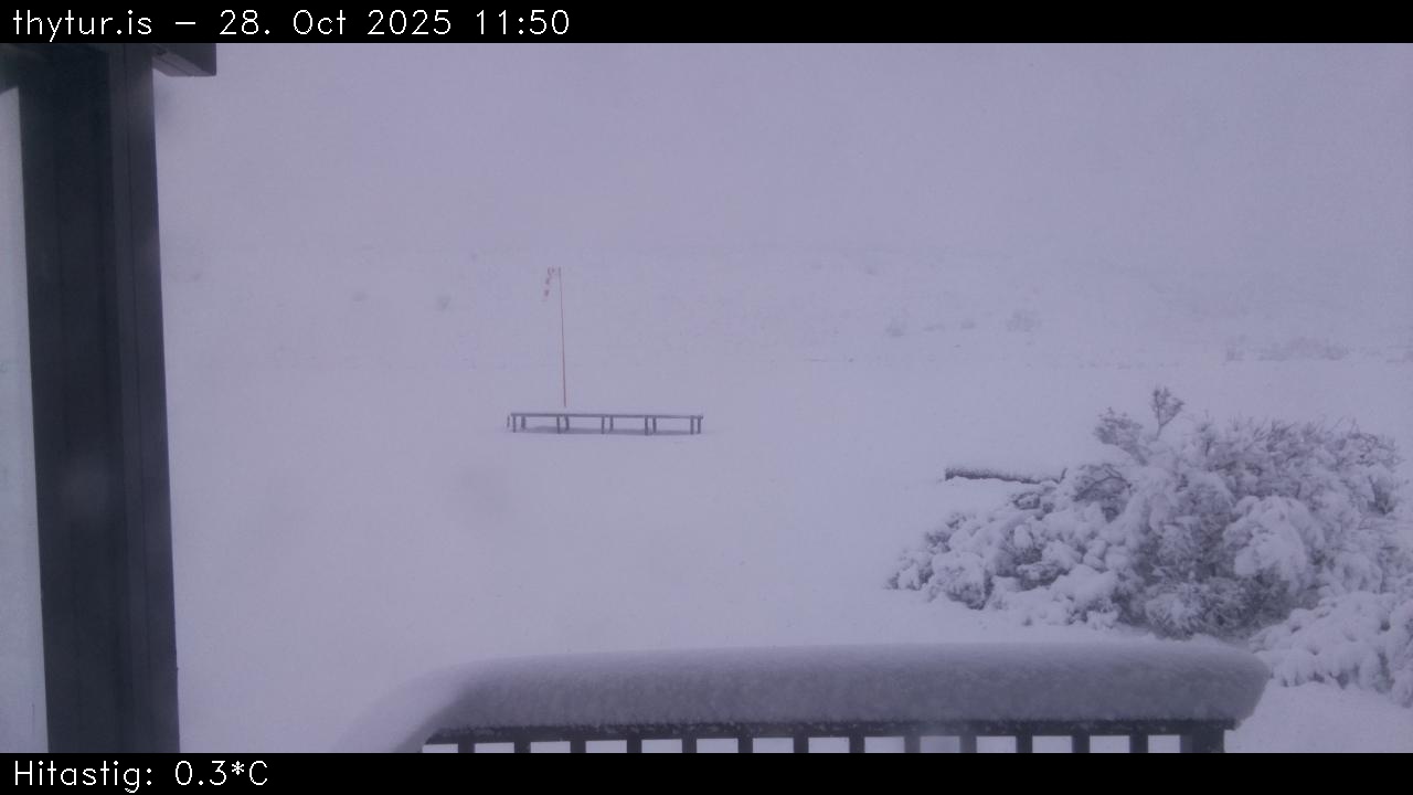 2025 Oct 28 11:50:29