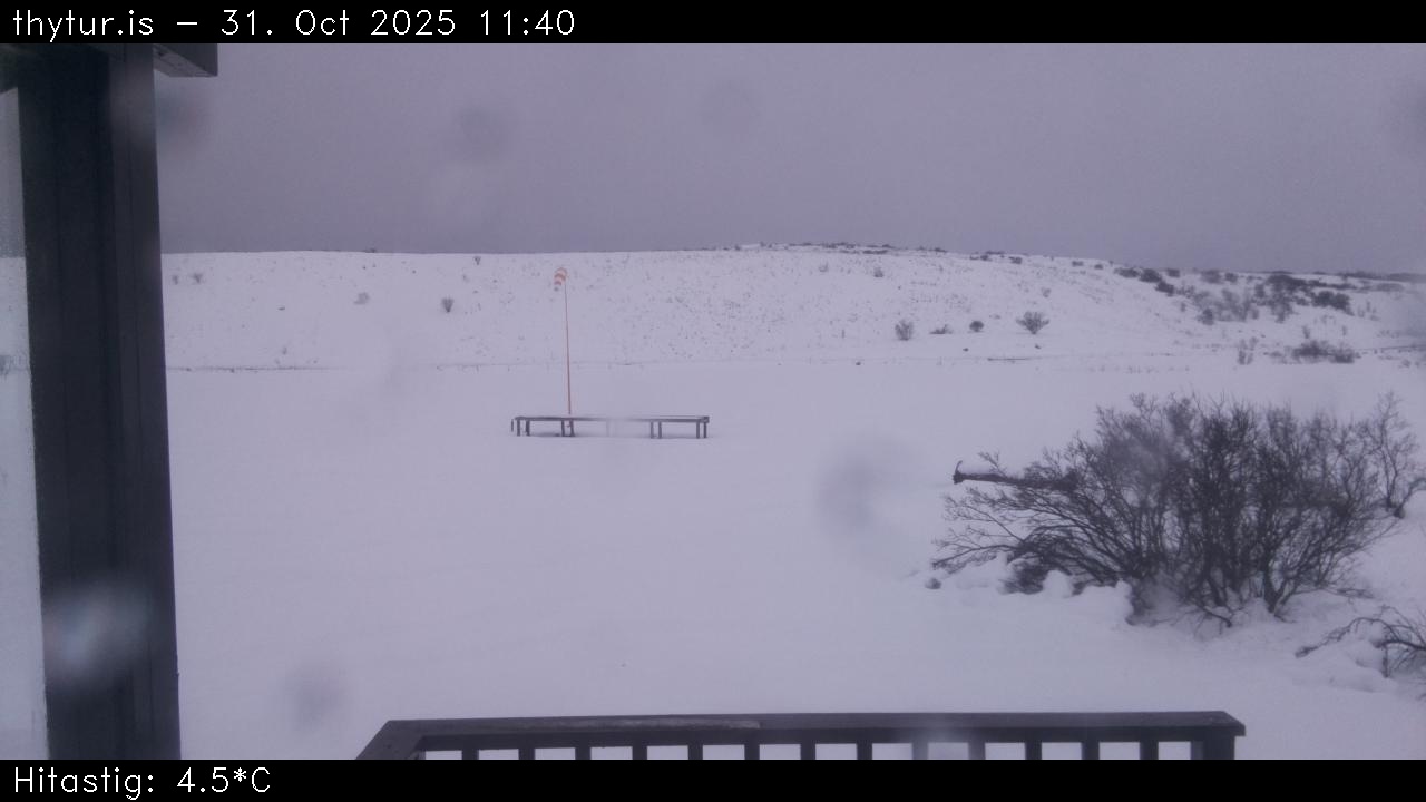 2025 Oct 31 11:40:29